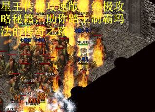 星王传奇攻速版：终极攻略秘籍，助你踏上制霸玛法的传奇之路