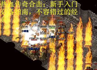 热血传奇合击：新手入门必备指南，不容错过的经典