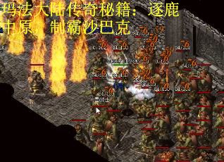 玛法大陆传奇秘籍：逐鹿中原，制霸沙巴克