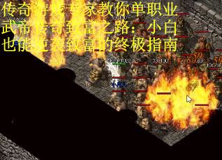传奇游戏专家教你单职业武帝传奇致富之路：小白也能逆袭致富的终极指南