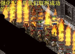 强化配方是我们取得成功的重要基础