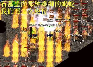 石墓里面那种难缠的蝎蛇我们要怎么应付