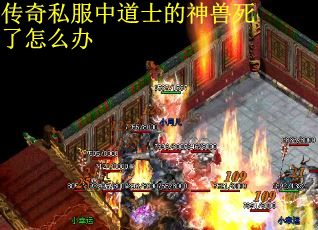 传奇私服中道士的神兽死了怎么办