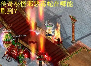 传奇小怪邪恶毒蛇在哪能刷到？