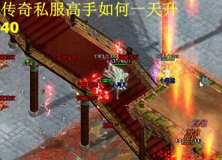 传奇私服高手如何一天升40