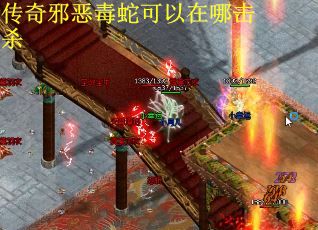 传奇邪恶毒蛇可以在哪击杀