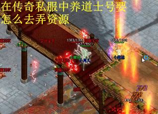 在传奇私服中养道士号要怎么去弄资源