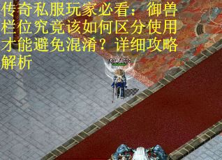 传奇私服玩家必看：御兽栏位究竟该如何区分使用才能避免混淆？详细攻略解析