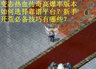 变态热血传奇高爆率版本如何选择靠谱平台？新手开荒必备技巧有哪些？