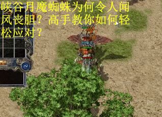 峡谷月魔蜘蛛为何令人闻风丧胆？高手教你如何轻松应对？