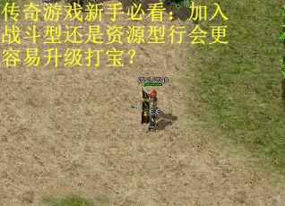 传奇游戏新手必看：加入战斗型还是资源型行会更容易升级打宝？