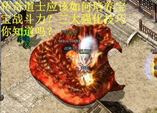 传奇道士应该如何培养宝宝战斗力？三大强化技巧你知道吗？