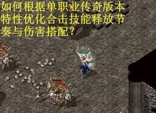 如何根据单职业传奇版本特性优化合击技能释放节奏与伤害搭配？