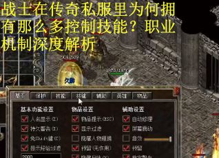 战士在传奇私服里为何拥有那么多控制技能？职业机制深度解析