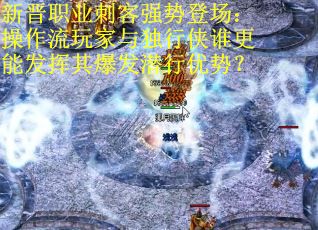 新晋职业刺客强势登场：操作流玩家与独行侠谁更能发挥其爆发潜行优势？