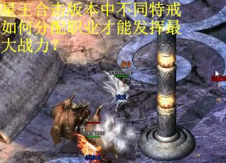星王合击版本中不同特戒如何分配职业才能发挥最大战力？