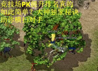 竞技场PK提升排名真的如此简单？大神独家秘诀助你横扫对手