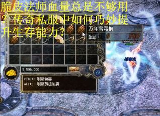 脆皮法师血量总是不够用？传奇私服中如何巧妙提升生存能力？
