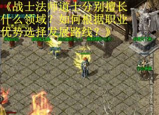 《战士法师道士分别擅长什么领域？如何根据职业优势选择发展路线？》