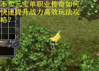 不卖元宝单职业传奇如何快速提升战力高效玩法攻略？