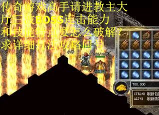 传奇游戏高手请进教主大厅三波BOSS连击能力和技能特点要怎么破解？求详细打法攻略问号