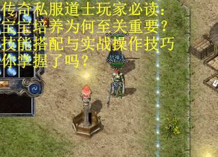 传奇私服道士玩家必读：宝宝培养为何至关重要？技能搭配与实战操作技巧你掌握了吗？