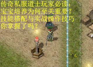 传奇私服道士玩家必读：宝宝培养为何至关重要？技能搭配与实战操作技巧你掌握了吗？