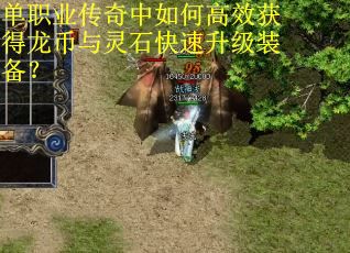 单职业传奇中如何高效获得龙币与灵石快速升级装备？