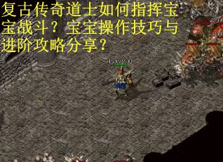 复古传奇道士如何指挥宝宝战斗？宝宝操作技巧与进阶攻略分享？