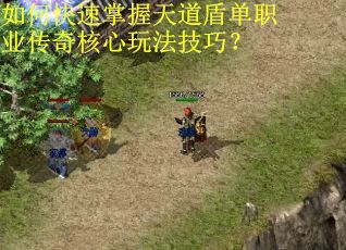 如何快速掌握天道盾单职业传奇核心玩法技巧？