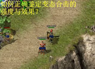 如何正确鉴定变态合击的强度与效果？