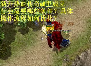 新开热血传奇sf里成立行会需要哪些条件？具体操作流程如何优化？