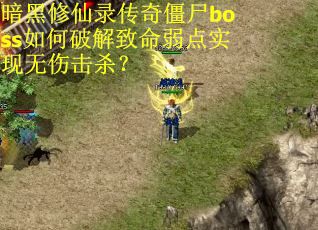 暗黑修仙录传奇僵尸boss如何破解致命弱点实现无伤击杀？