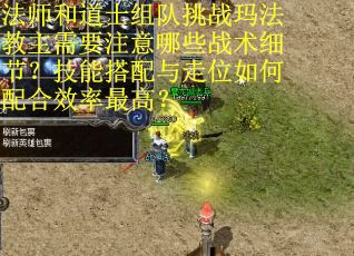 法师和道士组队挑战玛法教主需要注意哪些战术细节？技能搭配与走位如何配合效率最高？