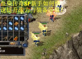 血染传奇SF新手如何快速提升战力与装备等级？