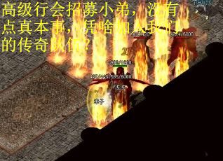 高级行会招募小弟，没有点真本事，凭啥加入我们的传奇队伍？