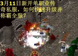 3月11日新开单职业传奇私服，如何快速升级并称霸全服？