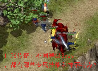 1.76棺ͬȼBossЩרܺ͵ص㣿