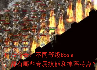 1.76棺ͬȼBossЩרܺ͵ص㣿