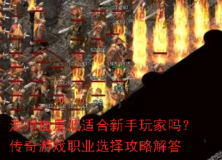ʦѪʺ𣿴ϷְҵѡԽ
