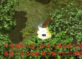 ϷеʿְҵΪαϲȫ淨