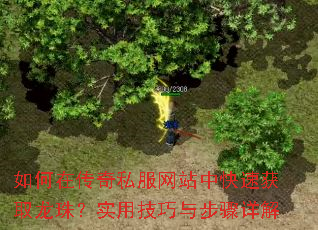 ڴ˽վпٻȡ飿ʵü벽