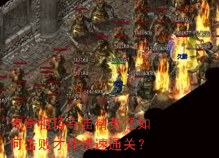 Ӣλܲܿͨأ