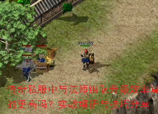 ˽뷨ʦЧĸʵս뼼ɷ