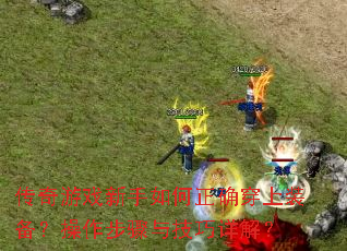 Ϸȷװ뼼⣿