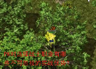 PKʱѡսʿְҵЩɺӵʵսƣ