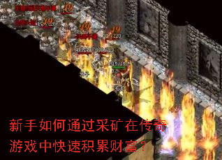 ͨɿڴϷпٻ۲Ƹ