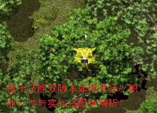 ʿ˫汾ѡְҵʵսȫ