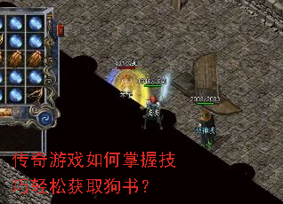 Ϸռɻȡ飿