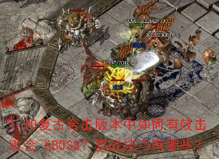 1.80źϻ汾ЧܻBOSSʵսЩ